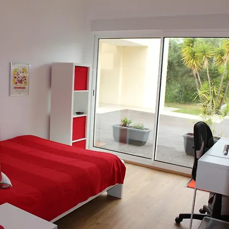 Petite Maison, Cosy, Sur Les Collines Niçoises